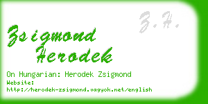 zsigmond herodek business card